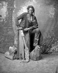 Curley, Kragespejder, 1880